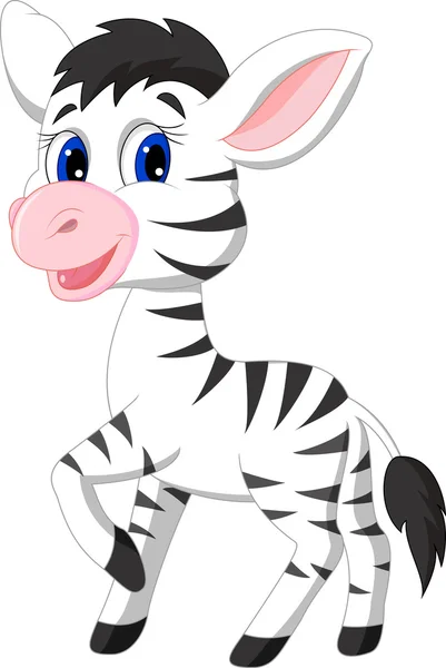 Bonito bebê zebra desenhos animados — Vetor de Stock