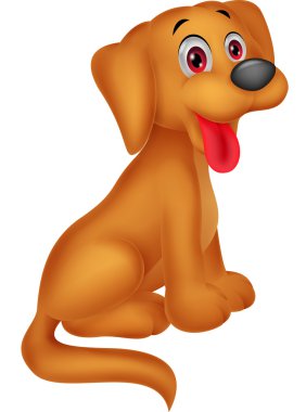 Şirin köpek.
