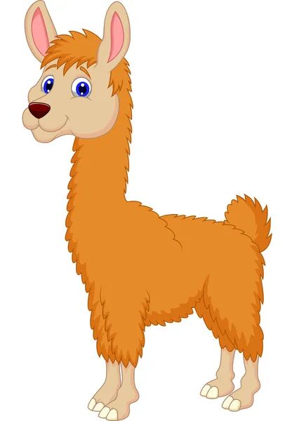 Ilama cartoon — Stock Vector