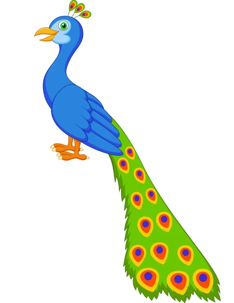 Cute peacock cartoon — Stock Vector