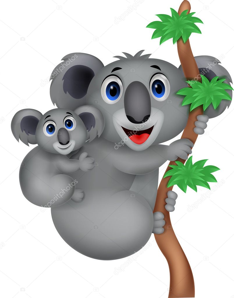 Mother and baby koala