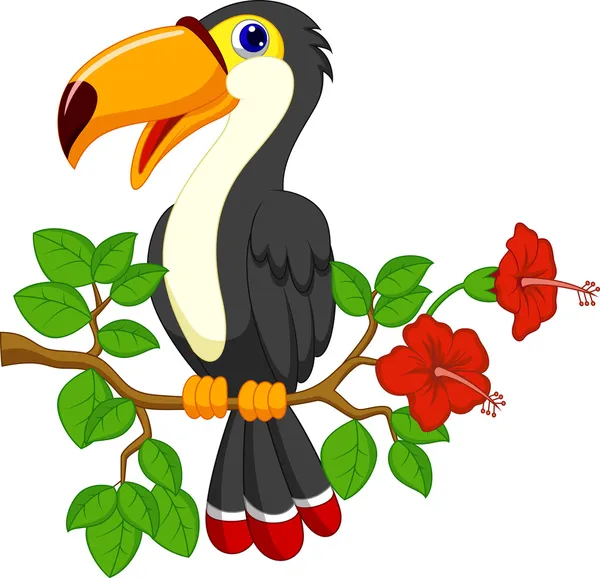 Roztomilý Tukan ptáka kreslený — Stock vektor