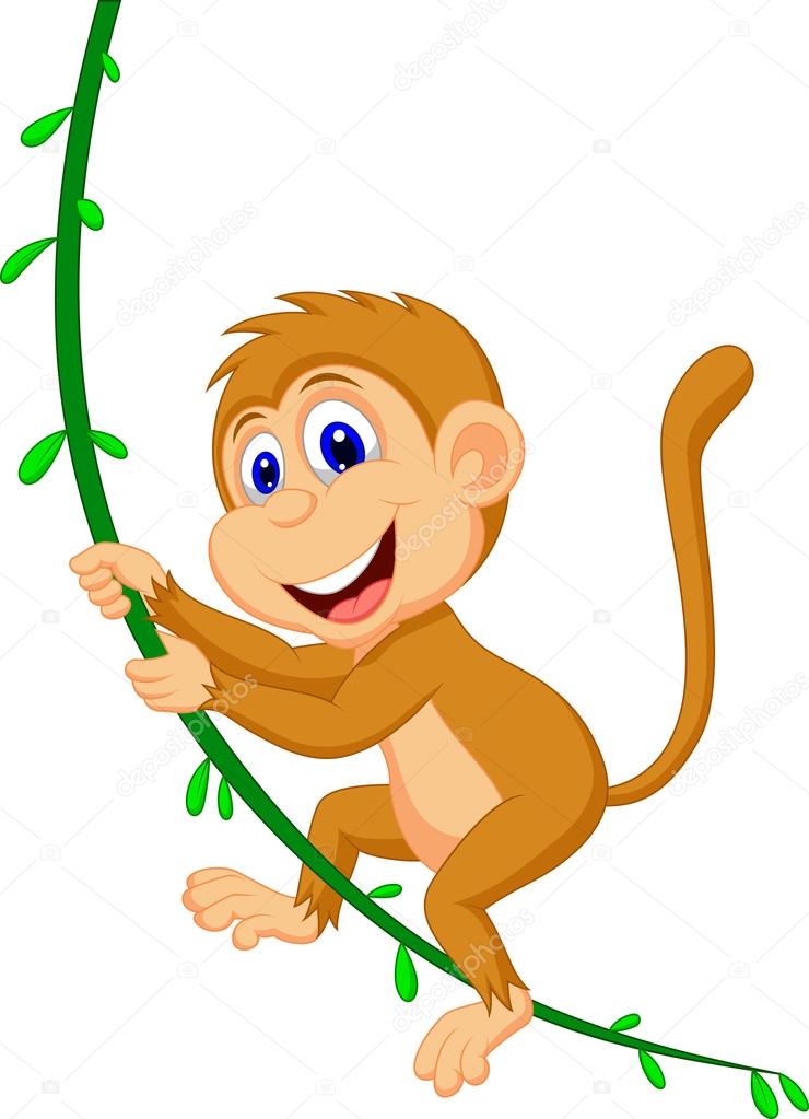 Cute monkey swinging