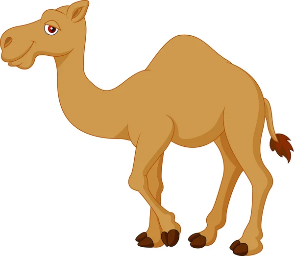 Cute camel cartoon — Stock Vector