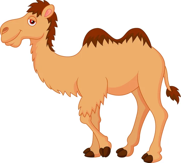 Симпатичный верблюжий мультфильм — стоковый вектор