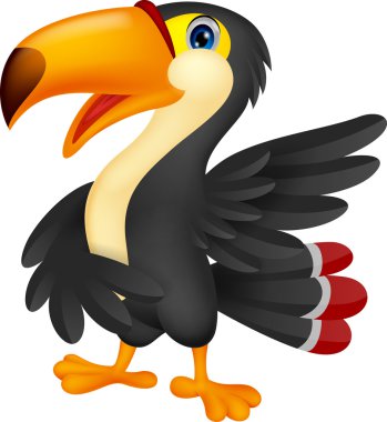 toucan kuş çizgi film