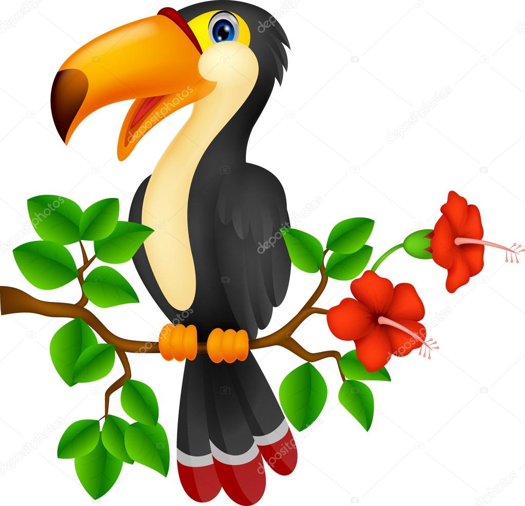 Funny toucan bird cartoon