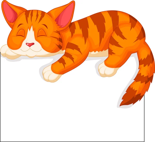 Cat cartoon — Stock Vector