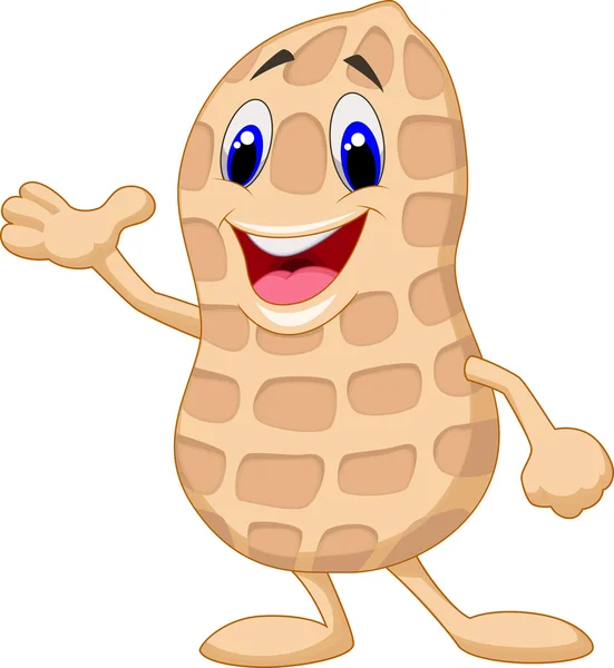 Peanut cartoon character — Stock Vector