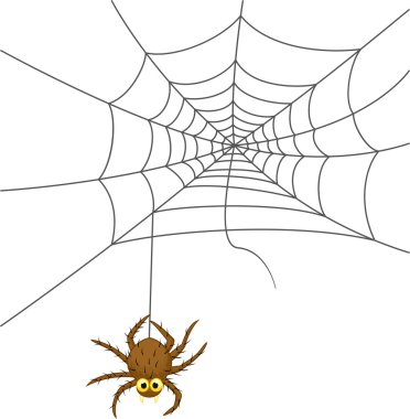 örümcek web karikatür