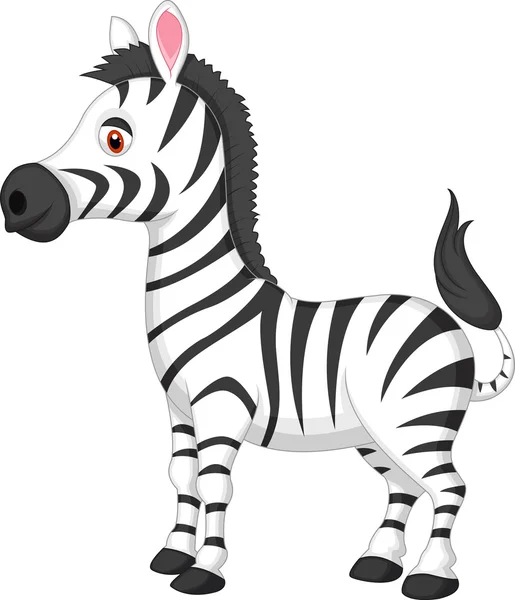 Söt zebra cartoon — Stock vektor