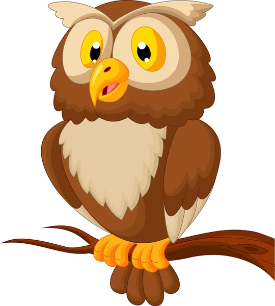 Cute owl cartoon — Stock Vector