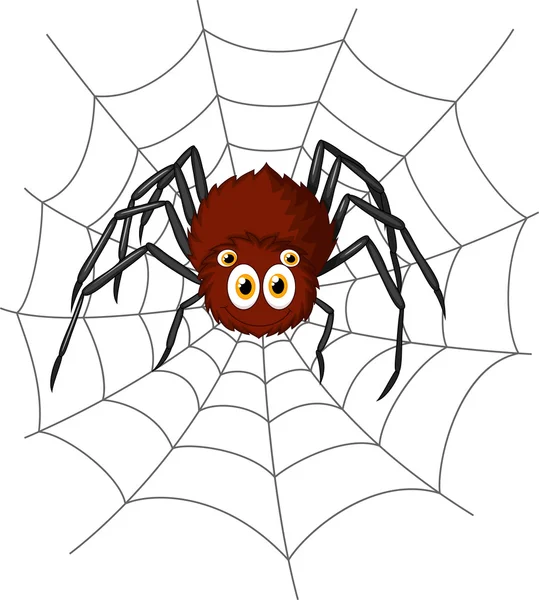 Mignon araignée — Image vectorielle