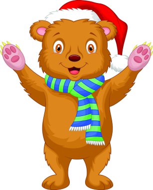 sevimli boz ayı çizgi film