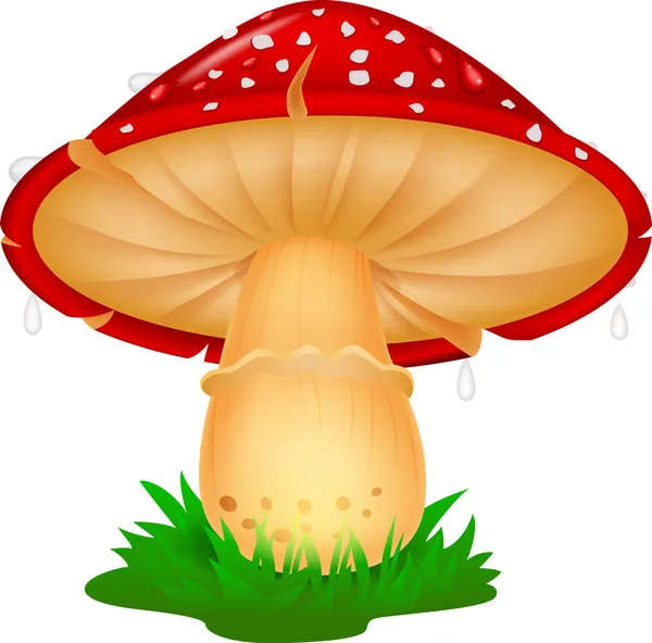 Mushroom — Stock Vector