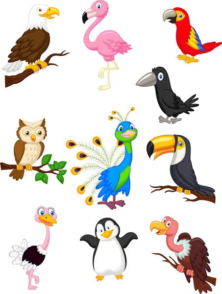 Colección de aves de dibujos animados conjunto — Vector de stock