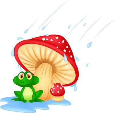 bir kurbağa ile mantar