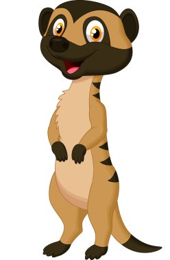 güleryüzlü meerkat