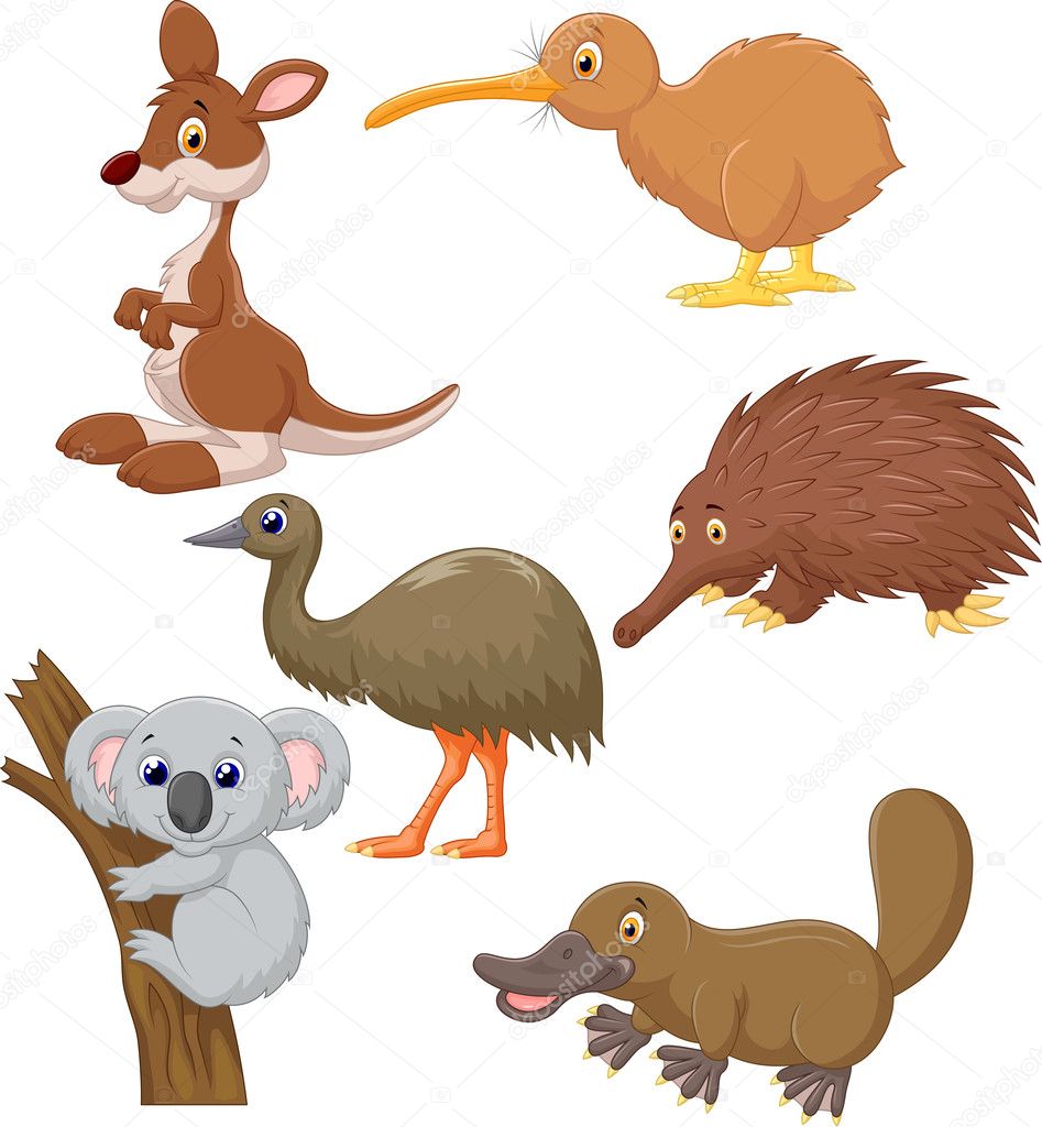 Australian animals