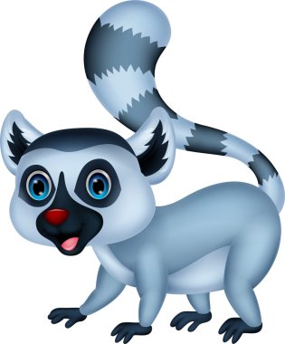 yakışıklı lemur karikatür