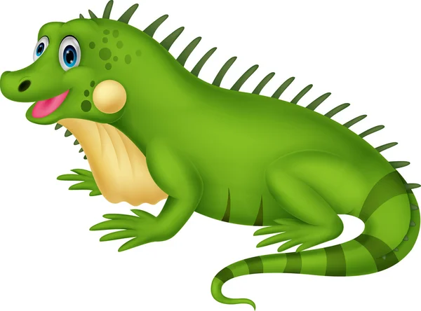 Cute iguana — Stock Vector