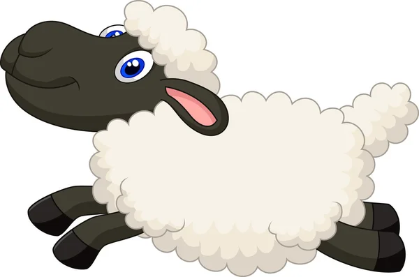 Schapen springen — Stockvector