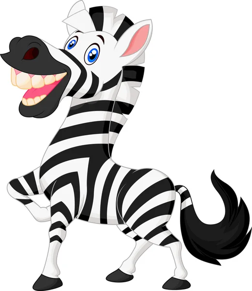 Zebra — Wektor stockowy