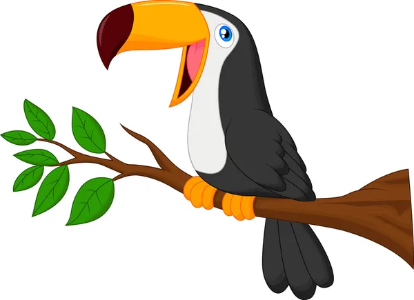 Pájaro tucán — Vector de stock