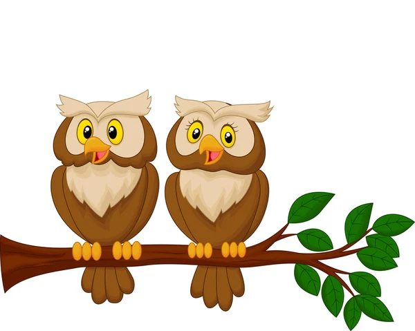 Owl couple — Stock Vector