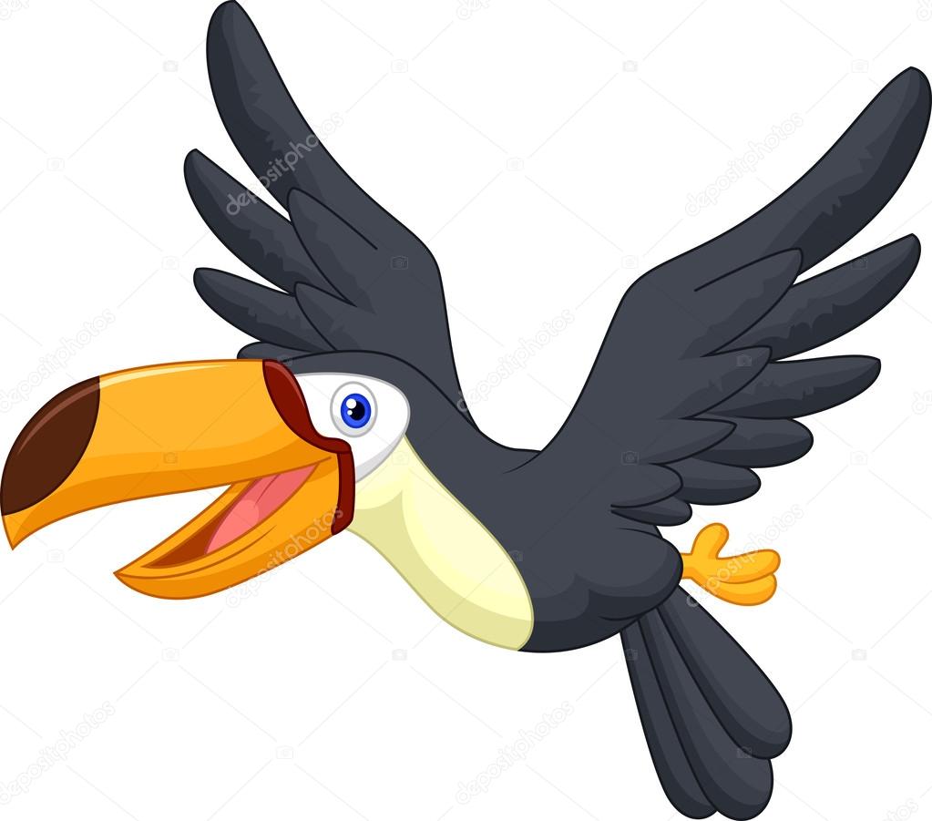 Toucan bird flying