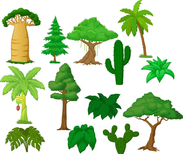 Collection d'arbres — Image vectorielle