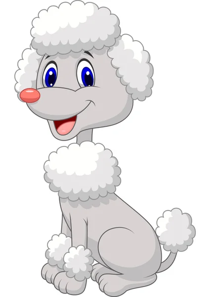 Cute poodle — Stock Vector