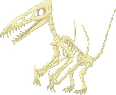 pteronodon iskelet