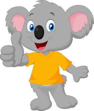 parmak pes koala