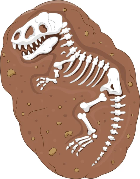 Tyrannosaurus rex Fossil — Stockvektor