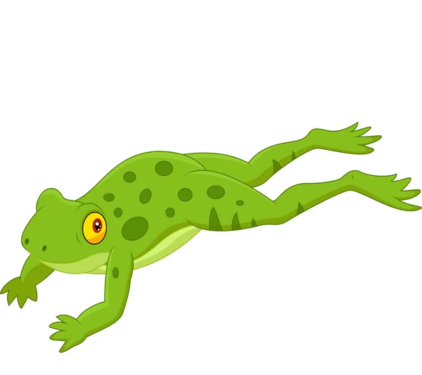 Cute frog jumping — Stock Vector