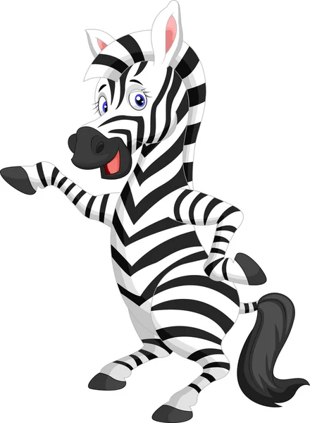 El sallayarak şirin zebra karikatür — Stok Vektör