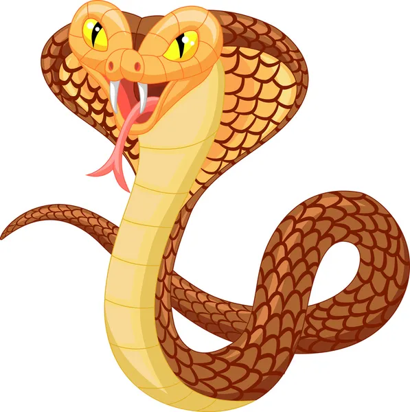 Angry cobra — Stock Vector