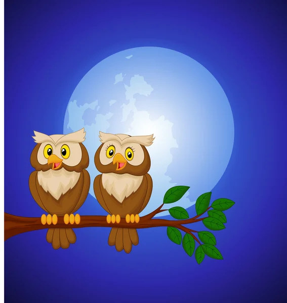 Couple owl — Stock Vector