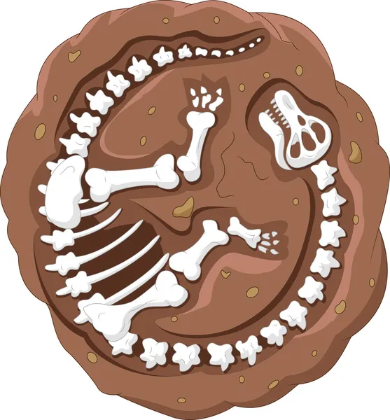 Fósil de dinosaurio de dibujos animados — Archivo Imágenes Vectoriales