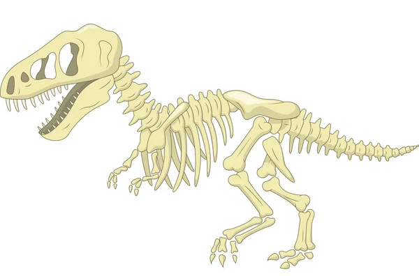 Esqueleto de dinossauro —  Vetores de Stock