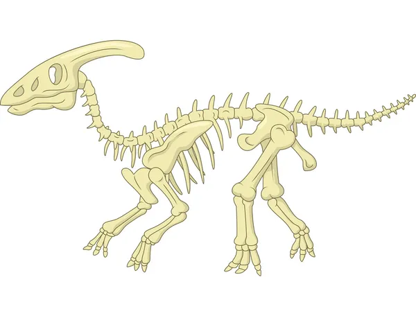 Esqueleto de Parasaurolophus — Vector de stock