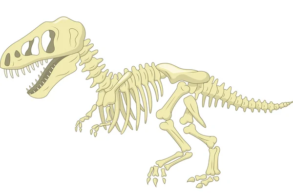 Esqueleto del dinosaurio imágenes de stock de arte vectorial | Depositphotos