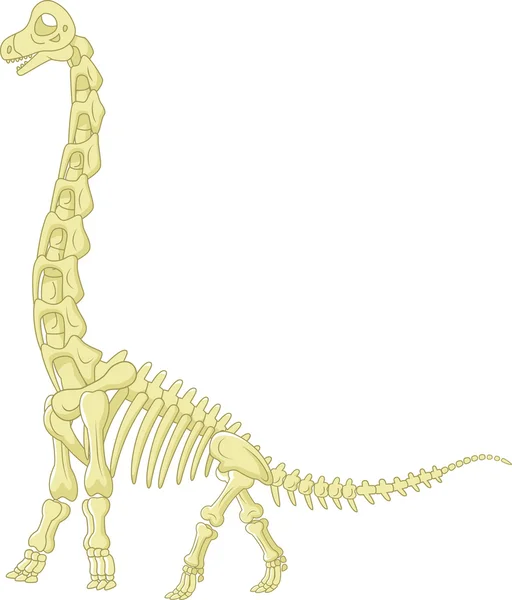 Sauropod skeleton — Stock Vector