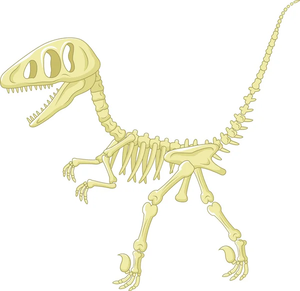 Dinosaur skeleton — Stock Vector