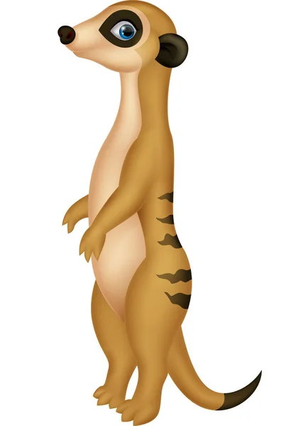 Lindo suricata — Vector de stock