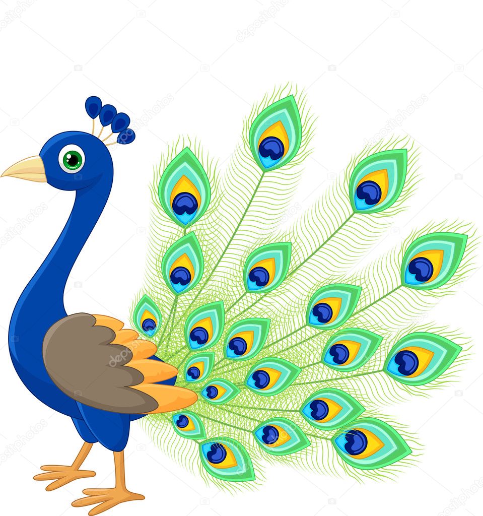 Dibujos animados de pavo  real vector gr fico vectorial 