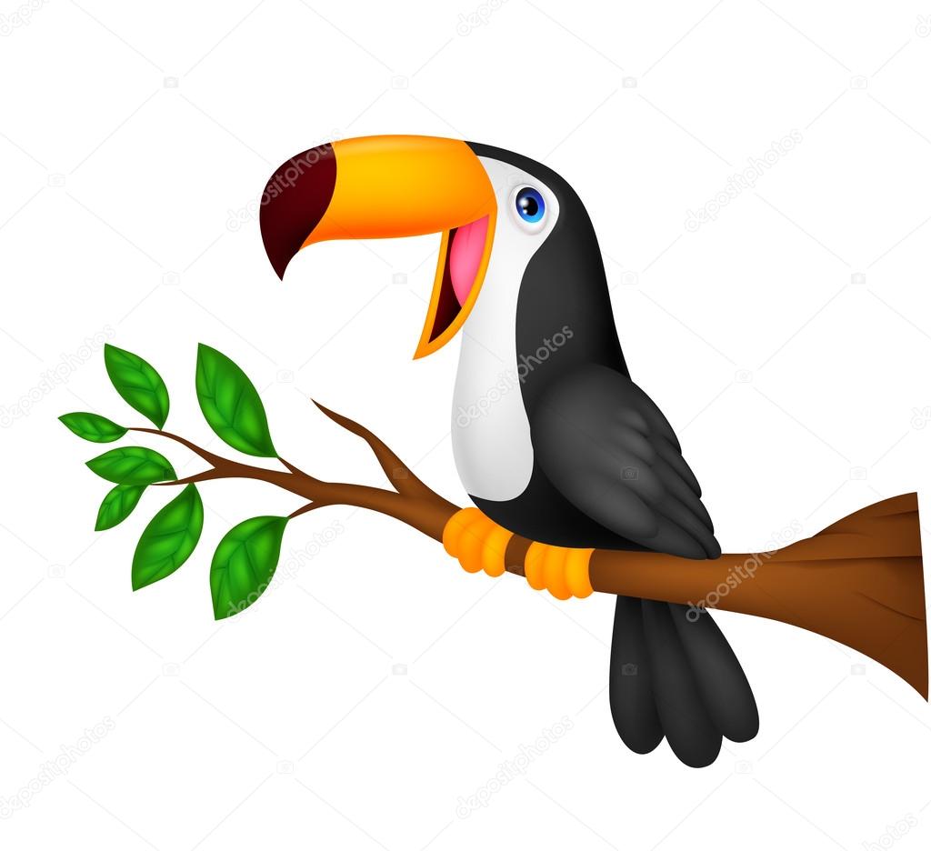 Cute toucan bird