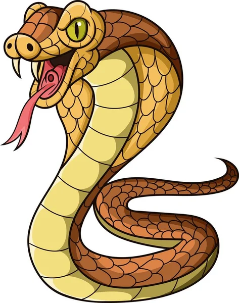 Ilustración Vectorial Serpiente Cobra Rey Dibujos Animados Sobre Fondo Blanco — Archivo Imágenes Vectoriales