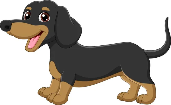 Ilustração Vetorial Cartoon Cão Dachshund Raça Pura Engraçado — Vetor de Stock